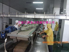 億鴻食品機(jī)械 以卓越品質(zhì)與智能技術(shù)，引領(lǐng)魚罐頭瀝水機(jī)新標(biāo)準(zhǔn)